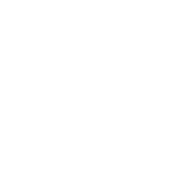 Business事業内容Mikami Tax Co. IS YOUR PARTNER